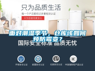 企業新聞面對潮濕季節，倉庫該如何預防霉變？