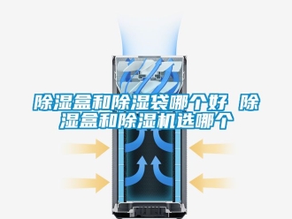 企業新聞除濕盒和除濕袋哪個好 除濕盒和除濕機選哪個