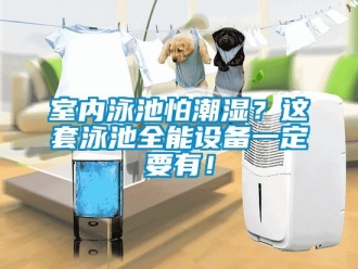 知識(shí)百科室內(nèi)泳池怕潮濕？這套泳池全能設(shè)備一定要有！