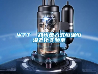 常見問題WTT  鄭州步入式恒溫恒濕老化實驗室