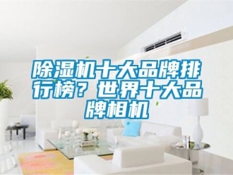 企業(yè)新聞除濕機(jī)十大品牌排行榜？世界十大品牌相機(jī)
