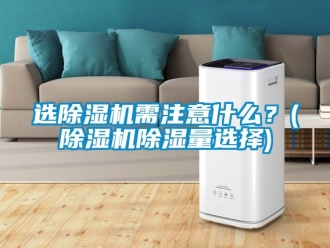 行業(yè)新聞選除濕機需注意什么？(除濕機除濕量選擇)