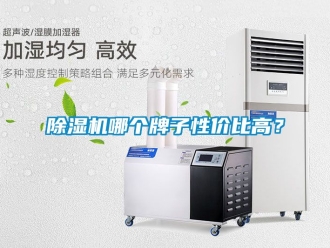 行業(yè)新聞除濕機哪個牌子性價比高？