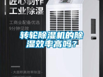 常見問題轉輪除濕機的除濕效率高嗎？