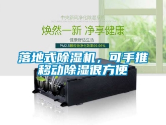 行業(yè)新聞落地式除濕機(jī)，可手推移動除濕很方便