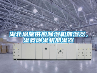 行業新聞湖北恩施供應除濕機加濕器，濕菱除濕機加濕器