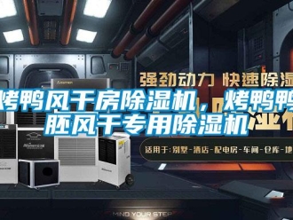行業新聞烤鴨風干房除濕機，烤鴨鴨胚風干專用除濕機