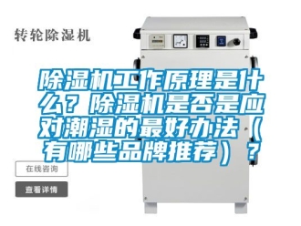 企業(yè)新聞除濕機工作原理是什么？除濕機是否是應(yīng)對潮濕的最好辦法（有哪些品牌推薦）？