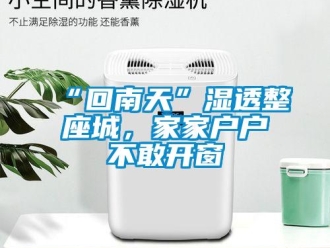 常見問題“回南天”濕透整座城，家家戶戶不敢開窗