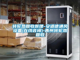 常見問題轉輪熱回收原理-安適德通風設備(在線咨詢)-青州轉輪熱回收