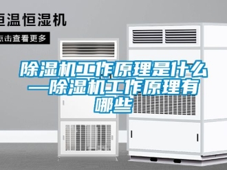 行業新聞除濕機工作原理是什么—除濕機工作原理有哪些