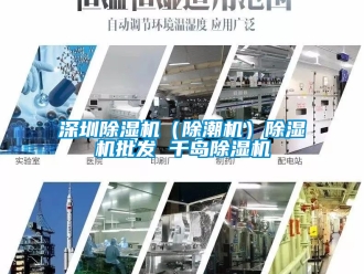 行業(yè)新聞深圳除濕機（除潮機）除濕機批發(fā) 千島除濕機