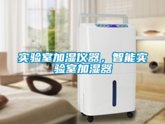知識百科實(shí)驗(yàn)室加濕儀器，智能實(shí)驗(yàn)室加濕器