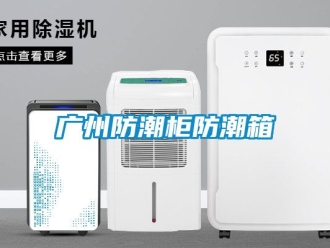 常見問題廣州防潮柜防潮箱