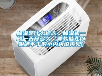行業(yè)新聞除濕是什么標志，除濕機一般一天開多久（哪款能讓你跟曬不干的小內(nèi)內(nèi)說再見）