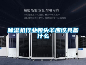 企業(yè)新聞除濕機(jī)行業(yè)領(lǐng)頭羊應(yīng)該具備什么