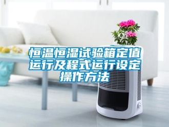 知識百科恒溫恒濕試驗箱定值運行及程式運行設定操作方法