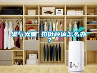 常見問題濕氣太重 拉低顏值怎么辦？