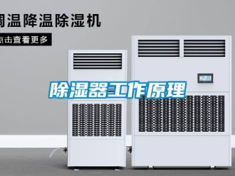 行業新聞除濕器工作原理