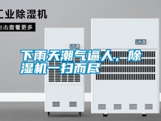 知識百科下雨天潮氣逼人，除濕機(jī)一掃而盡