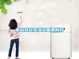 常見問題青島轉輪除濕設備哪種好