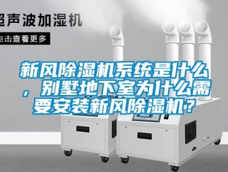 常見問題新風(fēng)除濕機(jī)系統(tǒng)是什么，別墅地下室為什么需要安裝新風(fēng)除濕機(jī)？