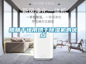 行業(yè)新聞臘腸干燥用烘干除濕機(jī)的優(yōu)點(diǎn)