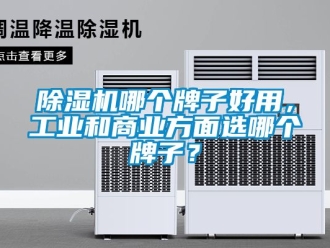 常見問題除濕機哪個牌子好用，工業(yè)和商業(yè)方面選哪個牌子？