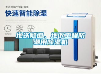 企業(yè)新聞地鐵隧道、地下工程防潮用除濕機(jī)