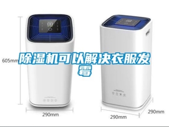 行業新聞除濕機可以解決衣服發霉