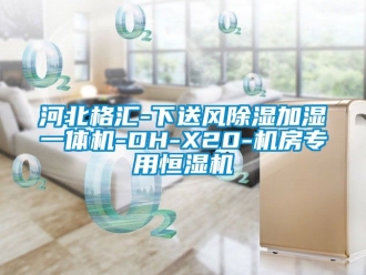 知識(shí)百科河北格匯-下送風(fēng)除濕加濕一體機(jī)-DH-X20-機(jī)房專用恒濕機(jī)