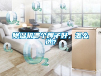 常見問題除濕機哪個牌子好，怎么選？