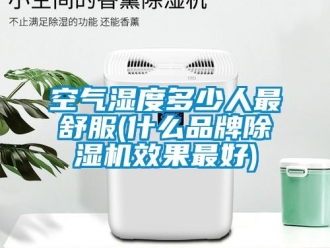 企業新聞空氣濕度多少人最舒服(什么品牌除濕機效果最好)