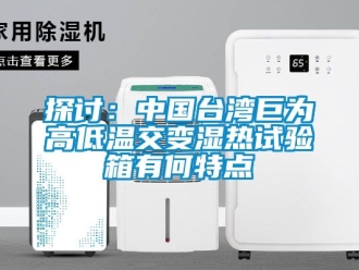 常見問題探討：中國(guó)臺(tái)灣巨為高低溫交變濕熱試驗(yàn)箱有何特點(diǎn)
