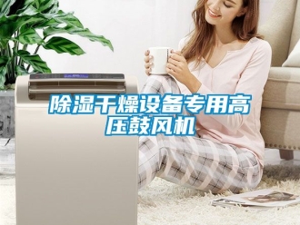 企業新聞除濕干燥設備專用高壓鼓風機