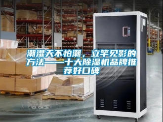 企業(yè)新聞潮濕天不怕潮，立竿見影的方法——十大除濕機品牌推薦好口碑