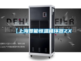 常見問題【上海智能恒溫循環器ZX