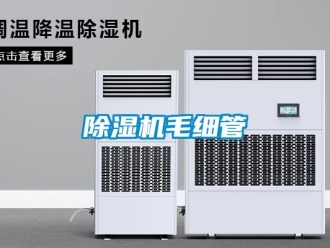 常見問題除濕機毛細(xì)管