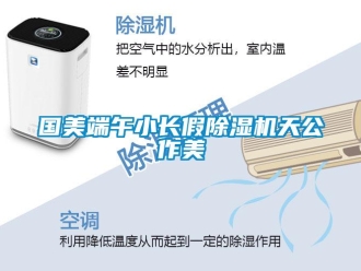 行業新聞國美端午小長假除濕機天公作美