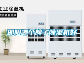 行業(yè)新聞邵陽哪個牌子除濕機好