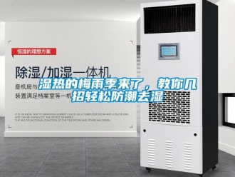 知識百科濕熱的梅雨季來了，教你幾招輕松防潮去濕