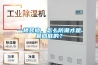 一樓裝修，怎么防潮才是最徹底的？