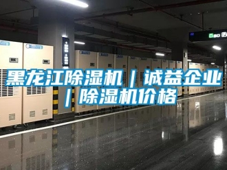 企業新聞黑龍江除濕機｜誠益企業｜除濕機價格