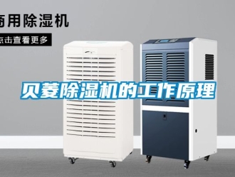 企業(yè)新聞貝菱除濕機(jī)的工作原理