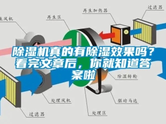 行業(yè)新聞除濕機真的有除濕效果嗎？看完文章后，你就知道答案啦