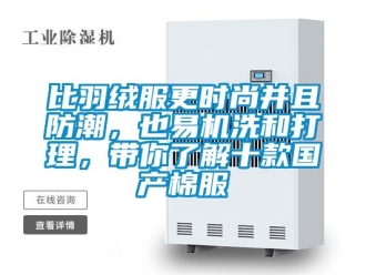企業(yè)新聞比羽絨服更時尚并且防潮，也易機洗和打理，帶你了解十款國產(chǎn)棉服