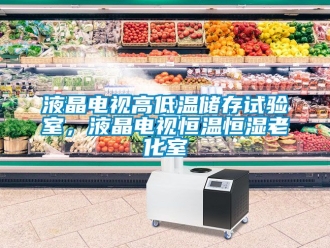 知識百科液晶電視高低溫儲存試驗室，液晶電視恒溫恒濕老化室