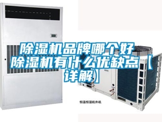 企業新聞除濕機品牌哪個好 除濕機有什么優缺點【詳解】