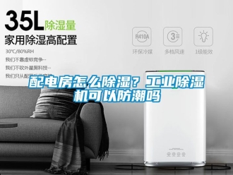 常見問題配電房怎么除濕？工業除濕機可以防潮嗎