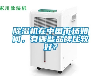 企業新聞除濕機在中國市場如何，有哪些品牌比較好？